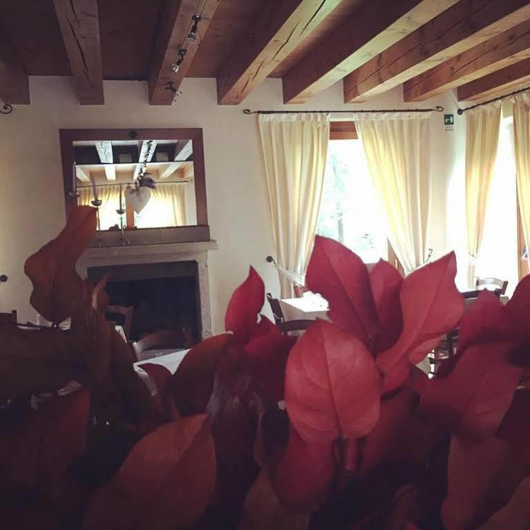 Hotel Villa Dei Carpini Одерцо Екстериор снимка